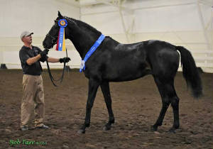 masterpiece051410grandchamp.jpg