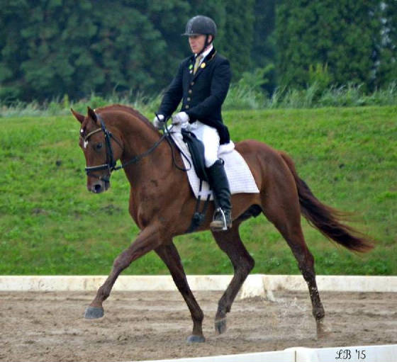 ovationsilverwood0715louise_crop.jpg