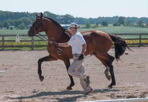 rcorray082712trot_2.jpg